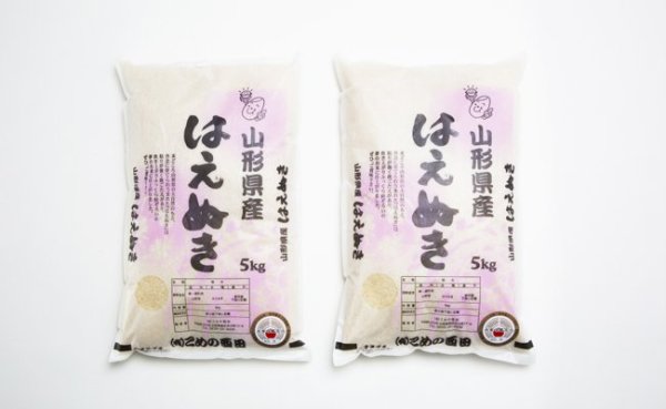 米食味鑑定士鑑定済　白米　5ｋg×2　【令和4年産】山形県産　はえぬき　有限会社こめの西田