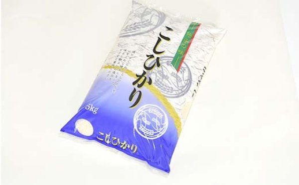 画像2: 新米入荷☆米食味鑑定士鑑定済☆令和7年産山形県産コシヒカリ　　白米　5ｋ (2)