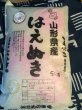 画像2: 米食味鑑定士鑑定済 　【令和6年産】山形県産　はえぬき　白米　5ｋg×2 (2)